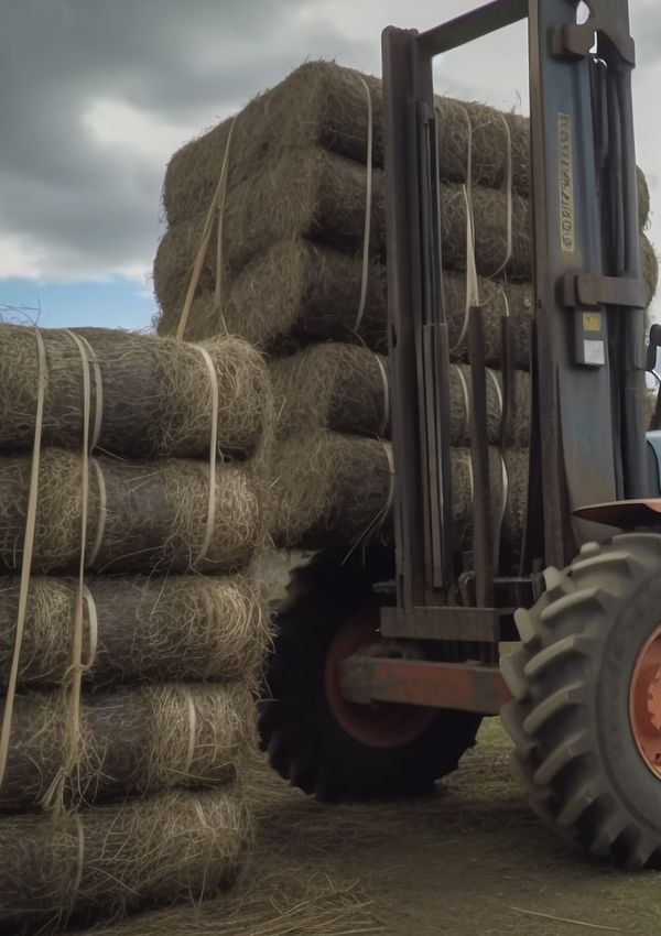 Agriculture & Farming